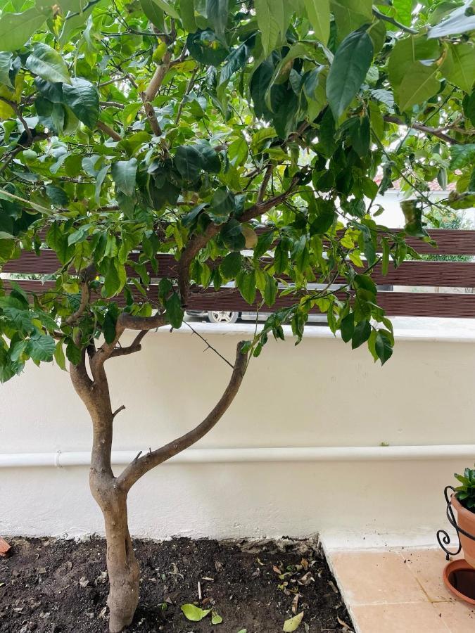 Apartament Themarilenehouse Wolos Zewnętrze zdjęcie